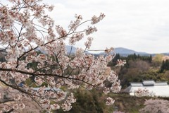 春の山並み