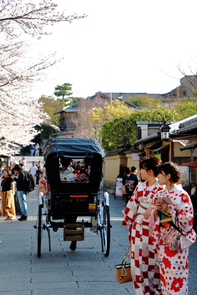 桜と京都