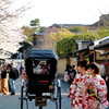 桜と京都