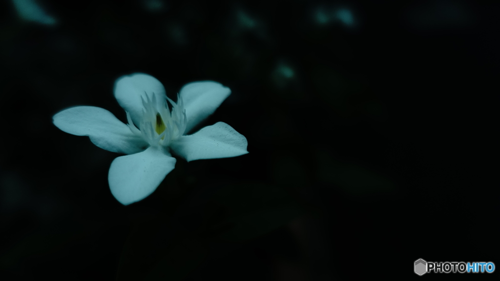 hana
