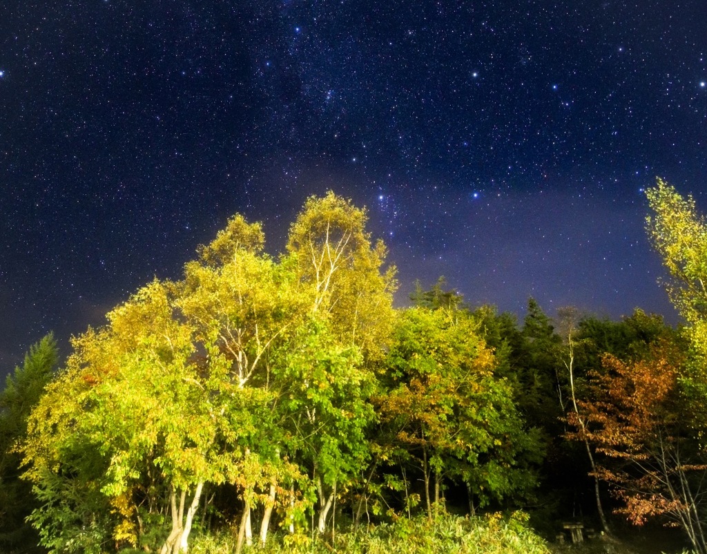 紅葉と星空