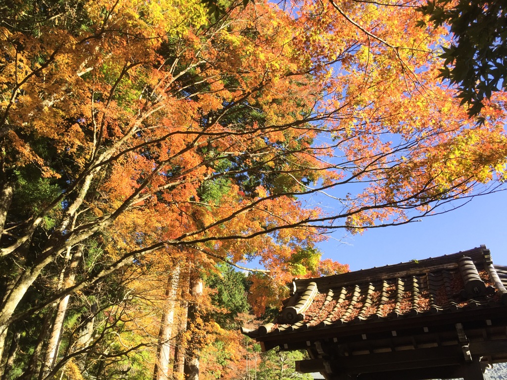 箱根長安寺