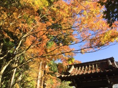 箱根長安寺