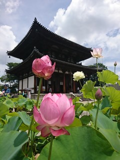 喜光寺にて