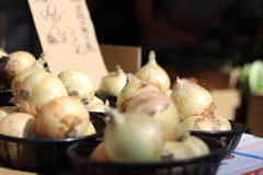野菜界の万能者