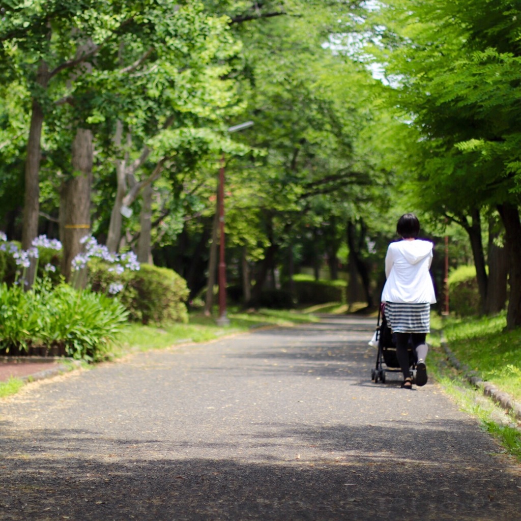 お散歩