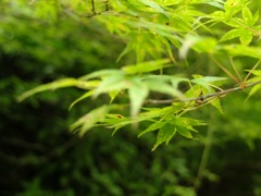 練習Photo