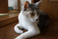 8DF4CC8D-B0C2-412A-945D-228AFC61B917