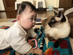 目と目で通じ合う
