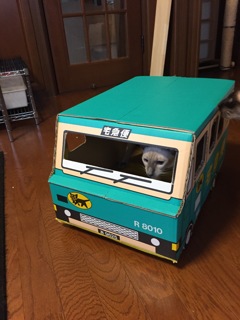 ネコの宅急便