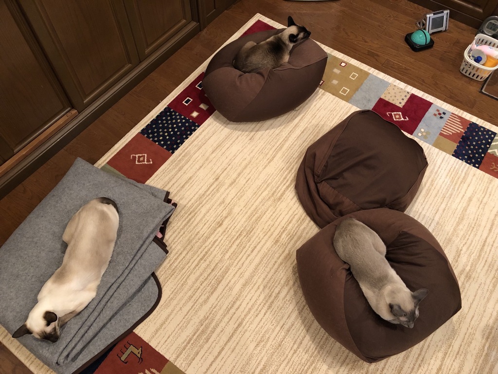 三角関係