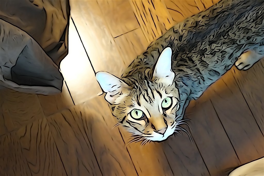 やんちゃ坊、レオくん