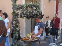 IMG_3417