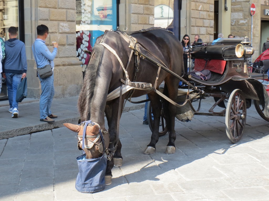 IMG_3901