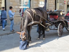 IMG_3901