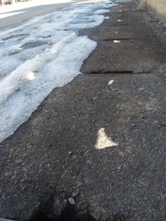 ・・の足跡かもね。