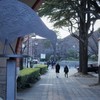 KURASHIKI　いち