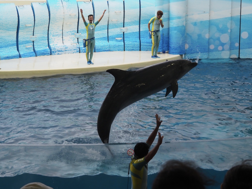 新江ノ島水族館　1