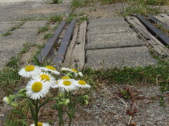 立野駅　３