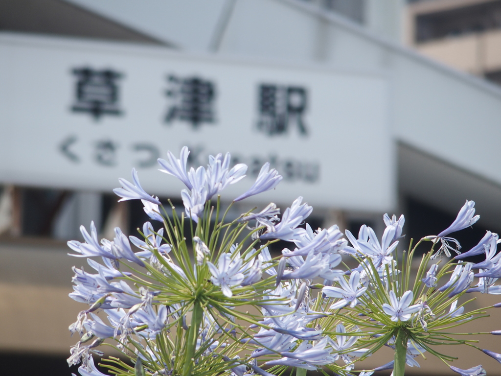 くさつ