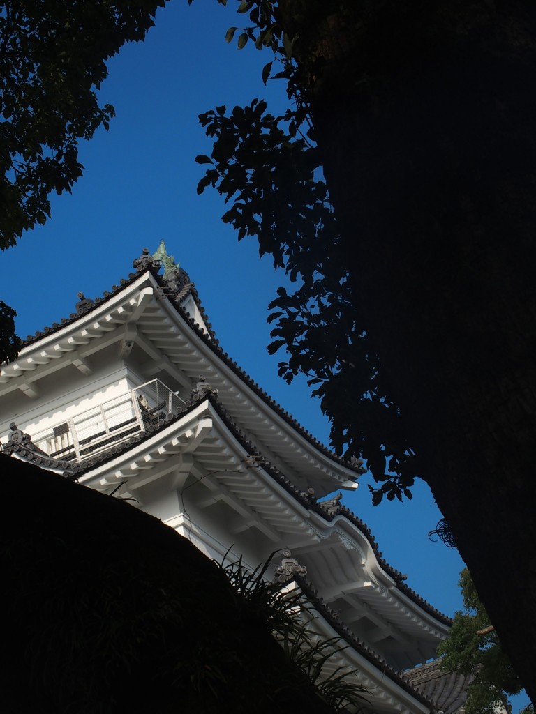 チラリ小田原城