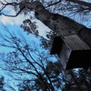 小鳥のお家