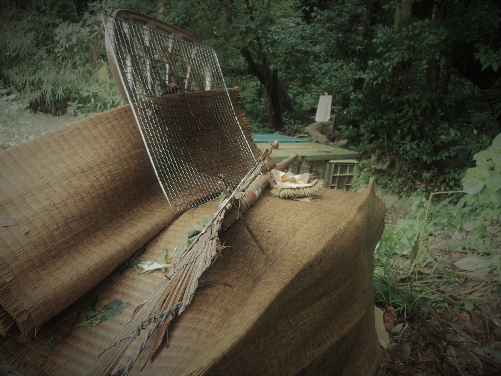 森に誰か住んでいる。