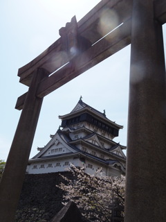 鳥居をフレームに