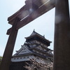 鳥居をフレームに