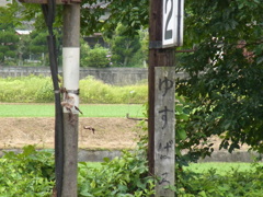 駅名標　『ゆすばる』