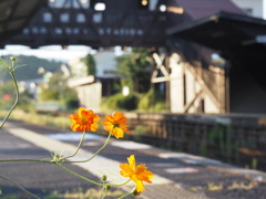 ホームにて