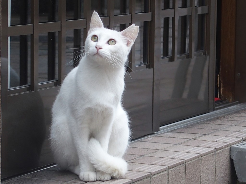 また雨かしら？