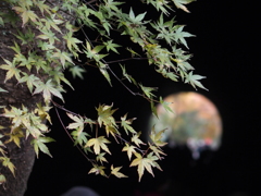 廃線トンネルを歩く　２