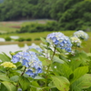 山あいの散歩道　6月　２