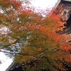 近所で紅葉狩り