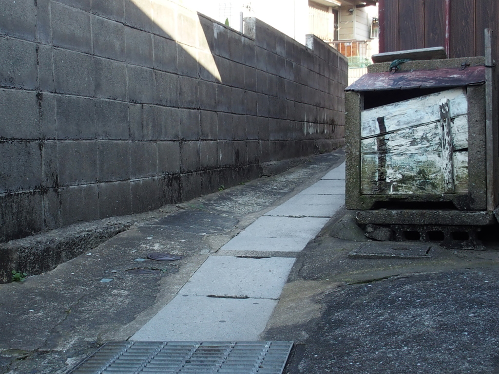 猫が欲しい風景