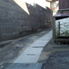 猫が欲しい風景