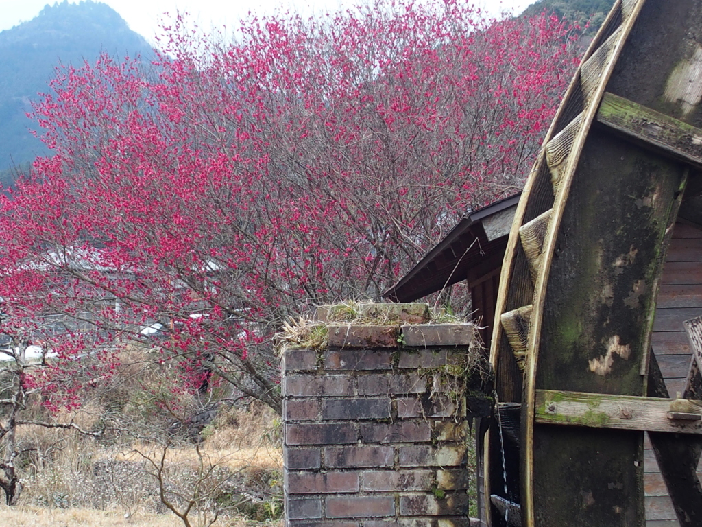 山里の春