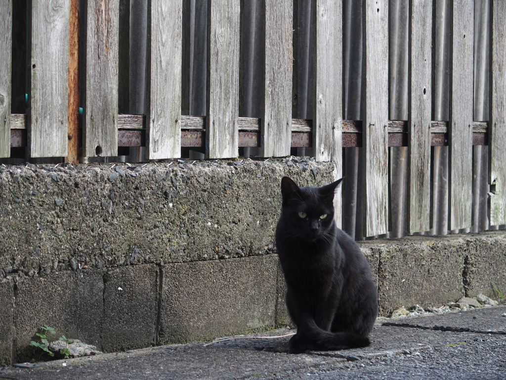 だいぶ慣れてきました。