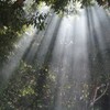 神社に天使が降りてくる？