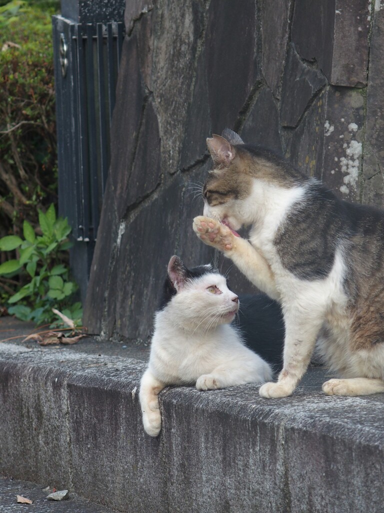 誰にも言うなよ