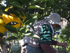 「100歳 楽勝！」