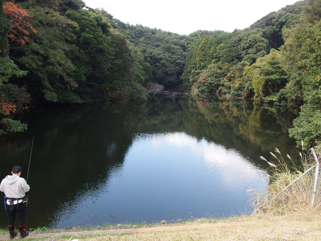 釣り日和