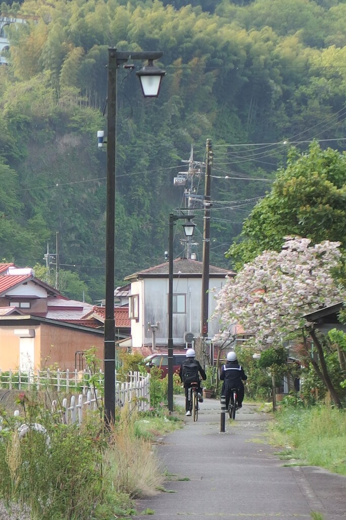 小さな旅　津和野　３