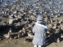 「まるで飼育してるみたい。」