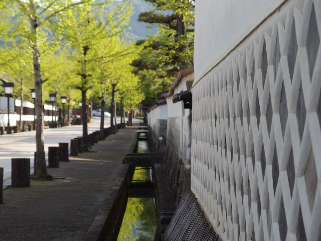 小さな旅　津和野　２