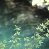 4月の水辺