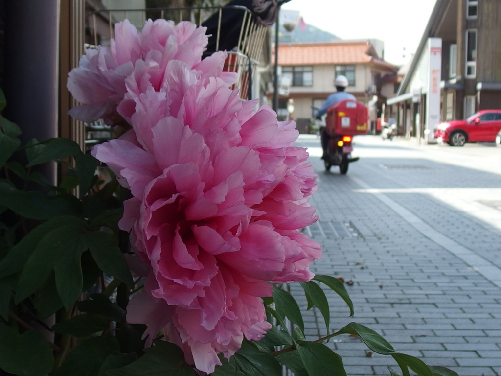 小さな旅　津和野　１