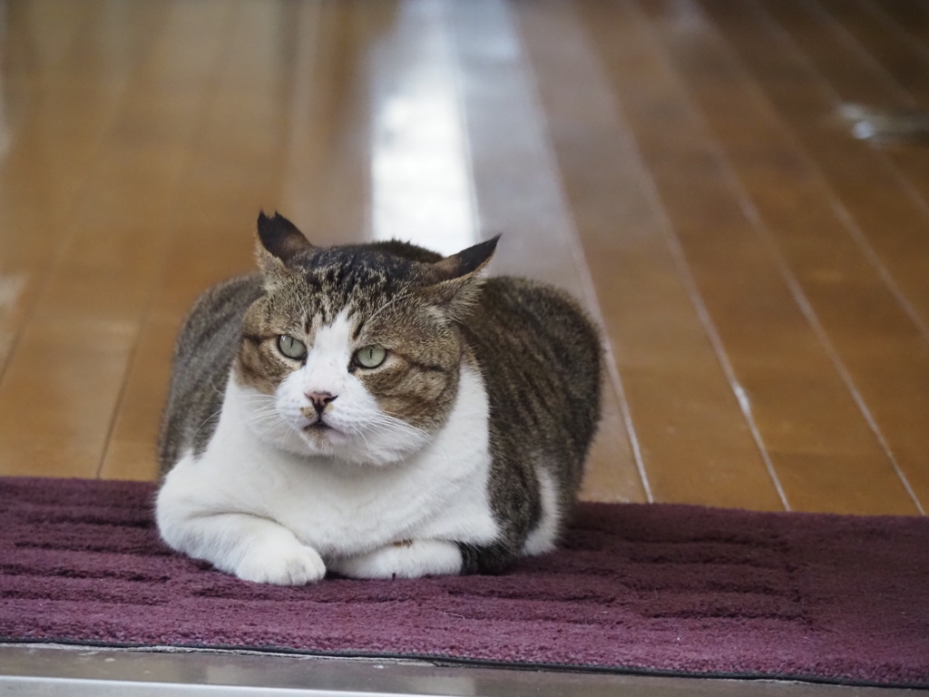 お気に入りの場所