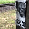 『熊注意』